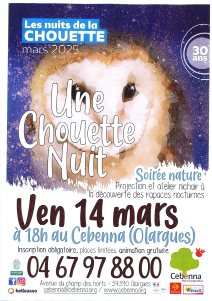 25-03-14-CHOUETTE